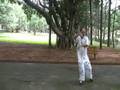 Tai Chi Boxing practice-KC Hsiao/NCU,Taiwan