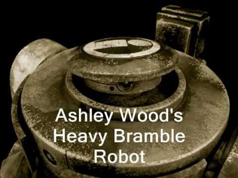 Ashley Wood