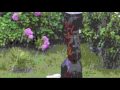 7- CONTEMPLANDO EL PAISAJE BAJO LA LLUVIA - Contemplating the landscape under rain