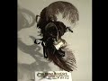 Click here to watch this video Loup noir & or à plume