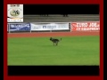 Preview video <strong>Sam Beit Haboxer Mehagiva </strong>