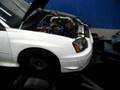 gt40r twin scroll race gas dyno pull