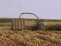 Chopping corn silage in Iowa Chopping corn silage in Iowa