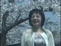 ひまわりの詩
