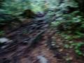 videos de mount seymour hike 8