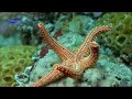 The Beauty Of Nature HD The Beauty Of Nature HD