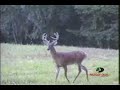 Mossy Oak - Close Encounters Mossy Oak - Close Encounters