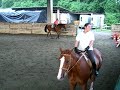 Sara Cerini mia sorella a Cavallo troto e Galopo horse