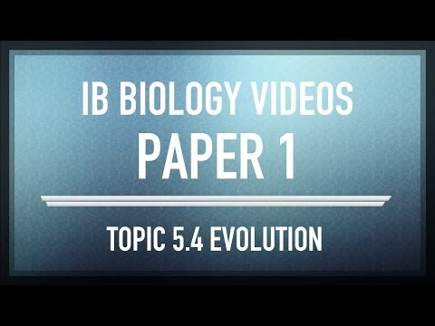 how to study for ib biology sl exam