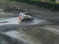 bobcat