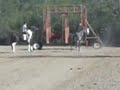 La Morra vs. El Pinto