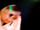 hddvd-delaminated.html