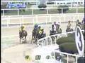 2007 AJC Cup (2007.04.22, 9f)