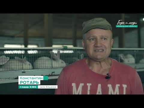 Производитель крольчатины из Елшанки Константин Ротарь: "Это очень рентабельный бизнес"