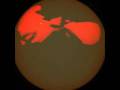 videos de SECRET LEAKED POSSIBLE ALIEN MESSEGE FROM THE SUN?