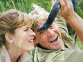 Steve Irwin Tribute Steve Irwin Tribute