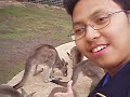 wan fadli