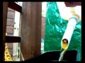 videos de cubie pourer non glug  27 seconds empty