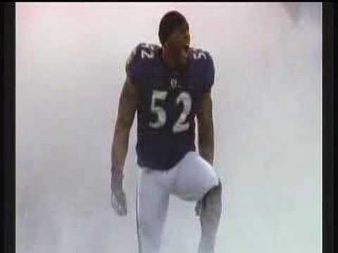 madden 08