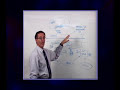 The role the brain plays in pain, The Mind Body Syndrome  Arthritis Herbal Medicine