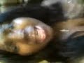 Click here to watch this video Diary Of A Mad Black Woman Monolouge