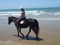 Horseback Riding on the Beach - October 2008 - Day 1