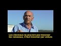 Les champs des agriculteurs pour la sylviculture
