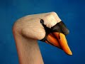 hand-art-its-a-kind-of-magic.html