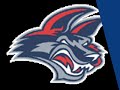 Elmira Jackals (ECHL) 2007-2008 Goal Horns