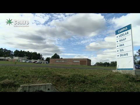 - Semanario Centro - Paso de los Toros - Semanario Centro - Paso de los Toros