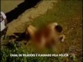 CASAL TRANSANDO EM PLENO NO CARNAVAL DE SALVADOR, PM ATRAPALHA