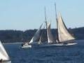 2008 Wooden Boat Festival: Video Postcard