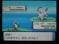 【ポケトレ連鎖(9)】色違いアブソル出現[shiny Absol]　ポケットモンスター ダイヤモンド パール　pokemon diamond&pearl