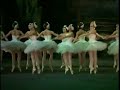 P.I.Tchaikovsky - Swanlake II