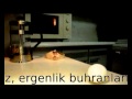 Ne Güzel Sanat