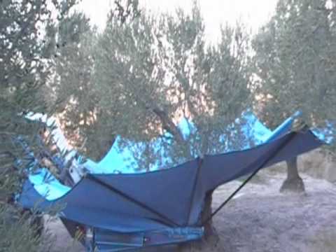 ΕΛΙΑΣ - Συγκομιδή ελιάς με Ενισχυμένο συλλέκτη PV στην περιοχή της Σαραγόσα συλλέγει με απόλυτη επιτυχία κορωνέικη με θερμοκρασία -2C στα μέσα...
