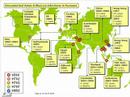 The Global Current ( #1 ) In Focus: Bird Flu The Global Current ( #1 ) In Focus: Bird Flu