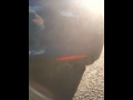 IMG_0080.MOV