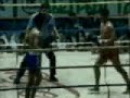 spinning elbow KO