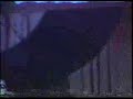 Fruto Sagrado - superman