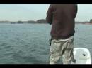 Striper fishing in Lake Lanier Striper fishing in Lake Lanier