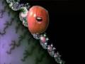 videos de Awesome Bagel Movie