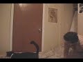 get-off-the-bed-cats-are-helpful.html