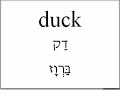 Learn English - Animal Vocabulary (Hebrew version)