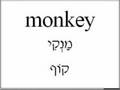 Learn English   Animal Vocabulary  Hebrew version 