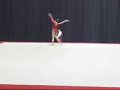 Shantessa Pama 2006 Gymnix FX