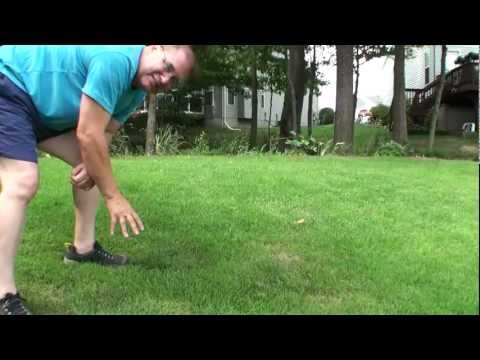 how to repair zoysia grass