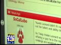 Fans flock to cyber Lobo Lair