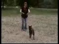 Doggy dance Doggy dance