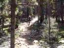 mountain biking lower barney ford 6/30